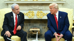 Trump veut arracher à Netanyahu un accord sur Gaza