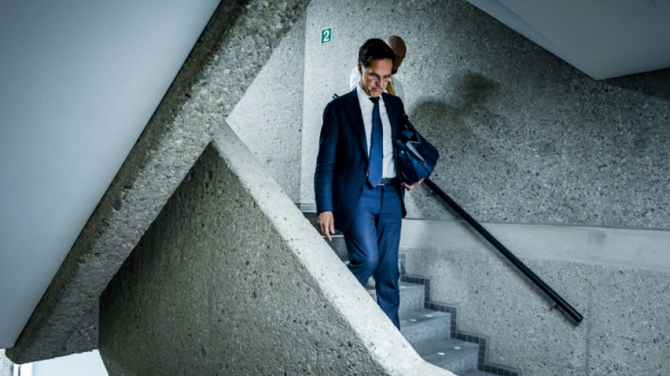 Niederl&auml;nder w&auml;hlen neues Parlament