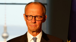 Merz und Trump wollen Handelsstreit "rasch beilegen"