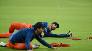 Teams want to play us now, says Dutch coach Cook