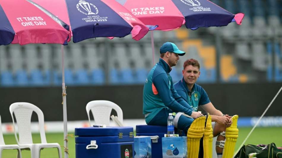 Australia's Smith out as Afghanistan bat in World Cup clash