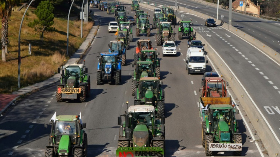 Spanische Bauern protestieren vor Treffen mit Landwirtschaftsminister in Madrid