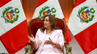 Presidenta de Per&uacute; anuncia gabinete para aplacar crisis pol&iacute;tica