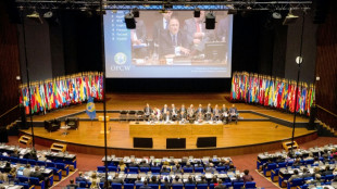 OPCW: USA vernichten ihr letzten Chemiewaffen-Vorr&auml;te