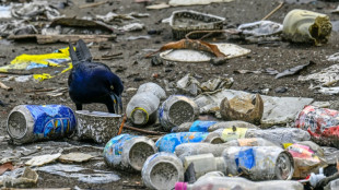 Nuevas negociaciones en Par&iacute;s para un tratado contra la contaminaci&oacute;n pl&aacute;stica