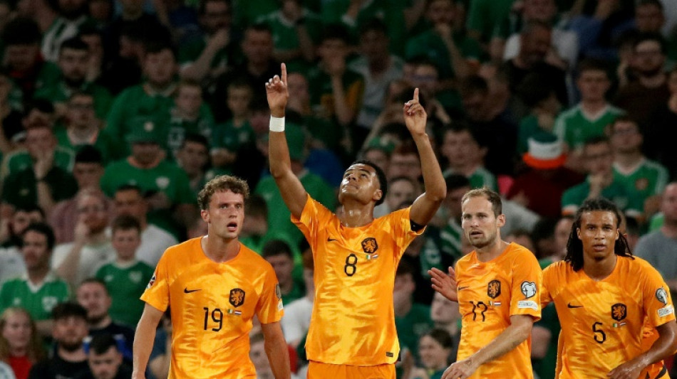 Pa&iacute;ses Bajos y Dinamarca m&aacute;s cerca de la Eurocopa, Polonia contra las cuerdas