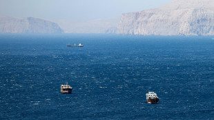 Teheran, contattati da diversi Paesi per un passaggio sicuro a Hormuz