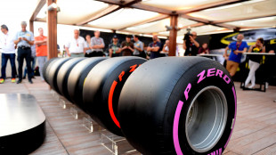 Sinochem, no a proposta per Pirelli dannosa e iniqua