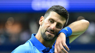 US Open: Djokovic, l'obsession h&eacute;g&eacute;monique