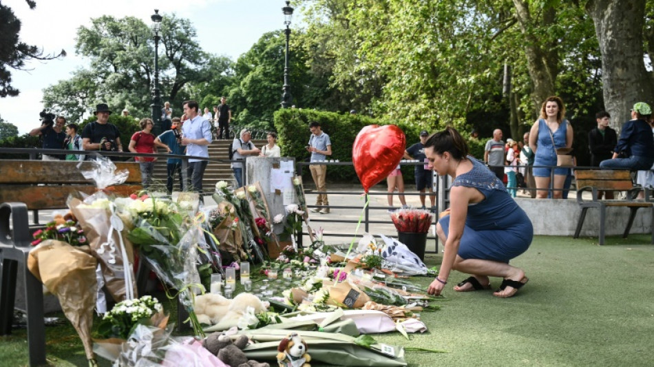El refugiado sirio que apu&ntilde;al&oacute; a ni&ntilde;os en Francia es imputado por intento de asesinato