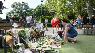 El refugiado sirio que apu&ntilde;al&oacute; a ni&ntilde;os en Francia es imputado por intento de asesinato