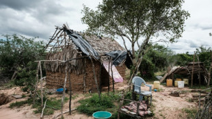 Kenya: 26 nouveaux corps de fid&egrave;les pr&eacute;sum&eacute;s d'une secte exhum&eacute;s dans une for&ecirc;t