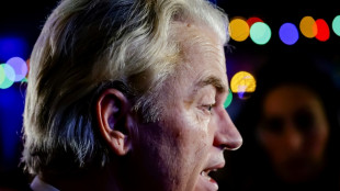 Far-right Wilders woos rivals after 'monster' Dutch vote win