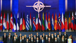 L'Otan, r&eacute;unie en sommet, veut garantir la d&eacute;fense de l'Ukraine