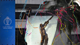 India 'joy to watch' says Tendulkar after statue unveiling
