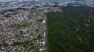 Un crecimiento verde en la Amazon&iacute;a atraer&iacute;a miles de millones de d&oacute;lares, seg&uacute;n un estudio