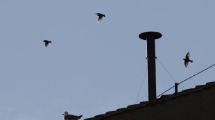 Gi&agrave; 30mila a San Pietro per la fumata, flusso in aumento
