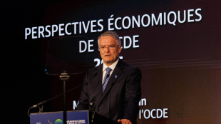 Ocse, Pil globale ha retto meglio del previsto ma ora capacit&agrave; si stanno esaurendo