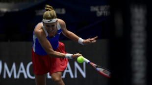Czechs beat champions Swiss in BJK Cup finals opener