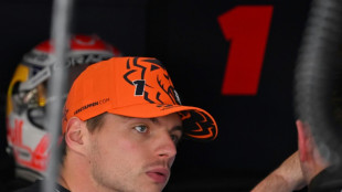 Verstappen domina el d&iacute;a de libres en Silverstone, Mercedes en apuros