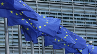 Ue, Usa attuino rapidamente riduzione dei dazi concordata