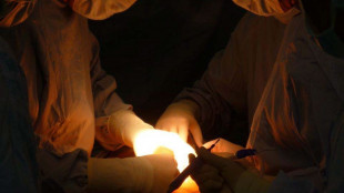 Riuscito il primo trapianto su una scimmia di una porzione di ipofisi umana