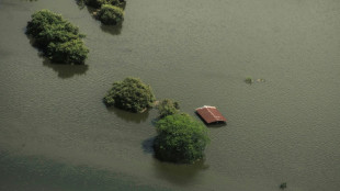 Des "grands-parents" rescapés des inondations au Mexique, symbole d'espoir