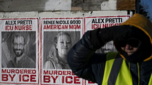 Trump brands Minneapolis nurse shot dead by federal agents an 'agitator'