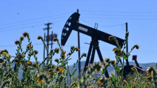 &Ouml;lpreise steigen wieder deutlich 