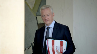Le Maire pourrait travailler &agrave; Lausanne selon le Canard encha&icirc;n&eacute;, son cabinet d&eacute;ment qu'il "quitte" France