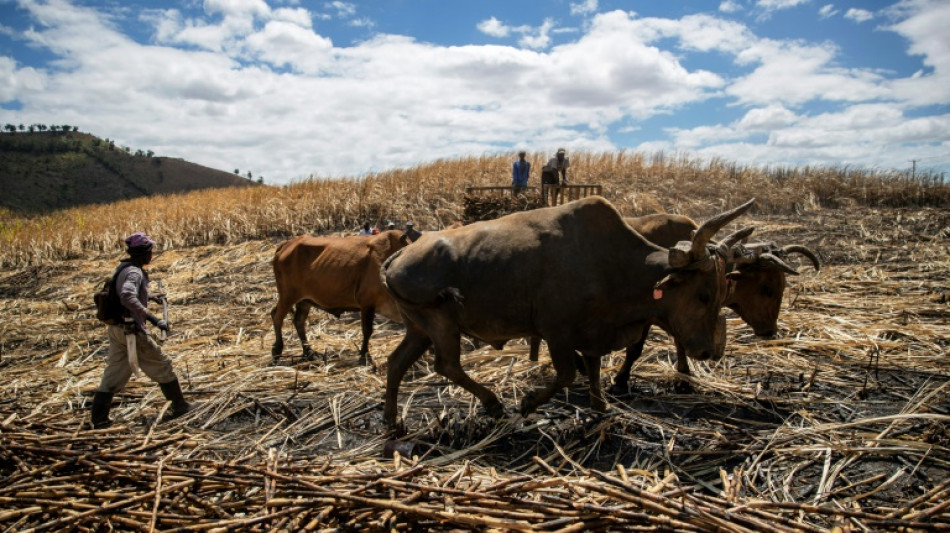 Ni Dominicain, ni Ha&iuml;tien: dans les limbes administratifs... et la pauvret&eacute;