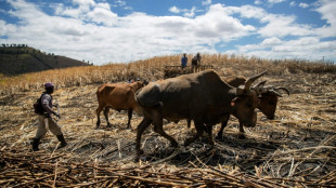 Ni Dominicain, ni Ha&iuml;tien: dans les limbes administratifs... et la pauvret&eacute;