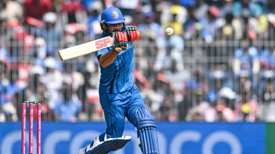 Naib's fifty lifts Afghanistan to 182-6 against New Zealand