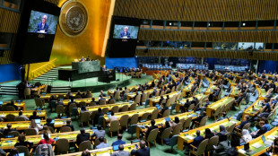 L'occupation isra&eacute;lienne en d&eacute;bat &agrave; l'Assembl&eacute;e g&eacute;n&eacute;rale de l'ONU