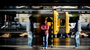 Una huelga perturba el tr&aacute;fico ferroviario en Portugal 