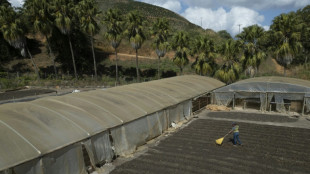 El desempleo marca otro récord positivo en Brasil