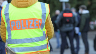 Sex auf Parkbank mitten in Mainz: Freizügiges Paar löst Polizeieinsatz aus