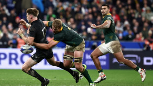 Springboks are warriors who relish challenge, says Stransky