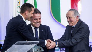 >ANSA-BOX/Zappi, con RefCam tutti capiranno difficolt&agrave; arbitro