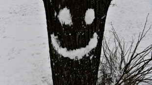 Lebenszufriedenheit der Deutschen stabil - Hamburger am glücklichsten