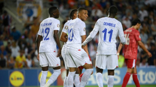 Qualifs Euro: France-Gr&egrave;ce, derni&egrave;re escale pour prendre le large