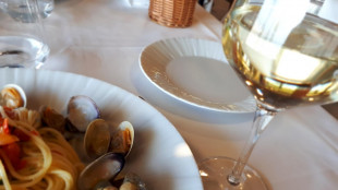Addio alle vongole, dopo il granchio blu il clima fa strage dei lupini di mare