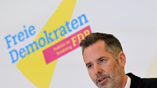 Migrationsgesetz: FDP will sp&auml;tere Abstimmung - w&uuml;rde aber weiter daf&uuml;r stimmen