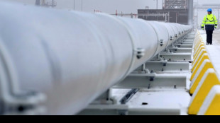 Energiewirtschaftsverband bef&uuml;rwortet strategische Gasreserve f&uuml;r Krisenfall