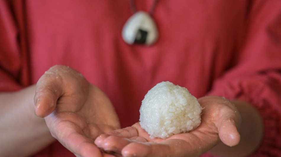 Unos cient&iacute;ficos surcoreanos desarrollan un alimento que mezcla arroz y c&eacute;lulas de res