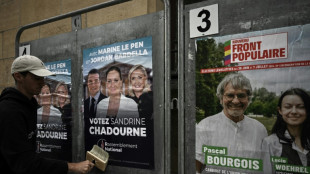 L&eacute;gislatives: dans un climat tendu, le RN d&eacute;nonce "un parti unique" pour le priver de la victoire