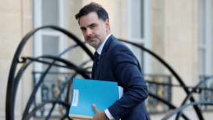 Hausse des budgets de l'Elys&eacute;e ou du Parlement: le ministre renvoie aux travaux parlementaires