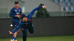 Dutch plan to rein in Afghanistan spin kings