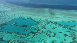 La Unesco aplaude el compromiso econ&oacute;mico de Australia para porteger la Gran Barrera de Coral