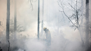 Europa sufre un verano r&eacute;cord de superficie quemada por los incendios
